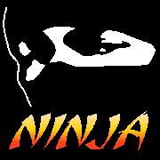 Ninja Wraps logo